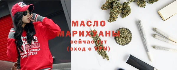 индика Абаза