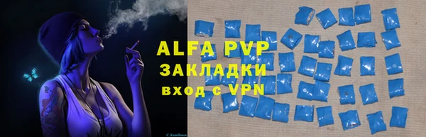 индика Абаза