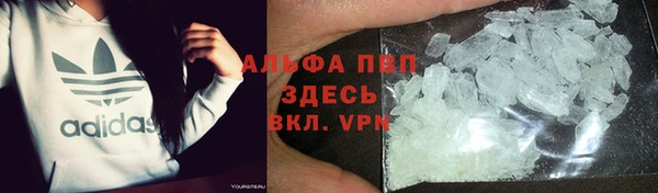 индика Абаза