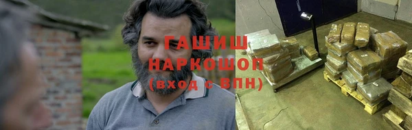 индика Абаза