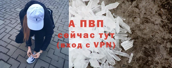 индика Абаза