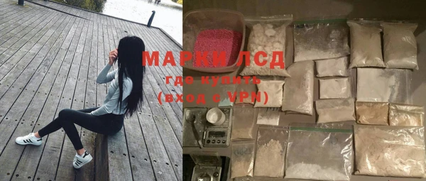 индика Абаза