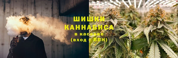 индика Абаза