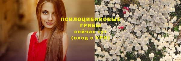 шишки Абинск