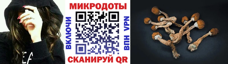 Псилоцибиновые грибы GOLDEN TEACHER  нарко площадка клад  Калач  цены   hydra зеркало 
