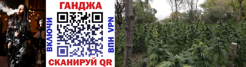 Канабис Ganja  Калач 
